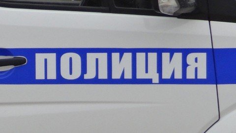 Полицейские в Чкаловске раскрыли кражу створок гаражных ворот